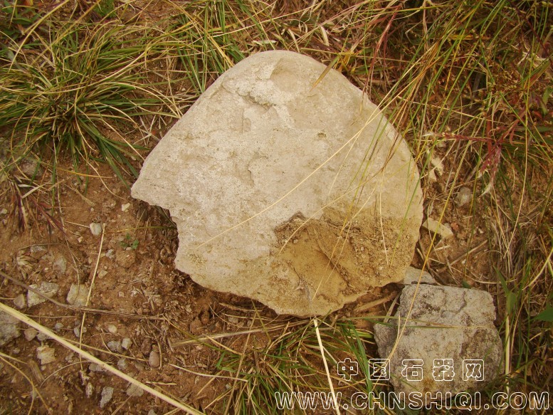 DSC06008.JPG
