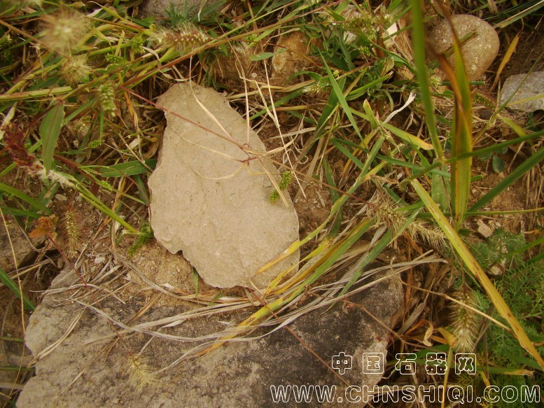DSC06009.JPG