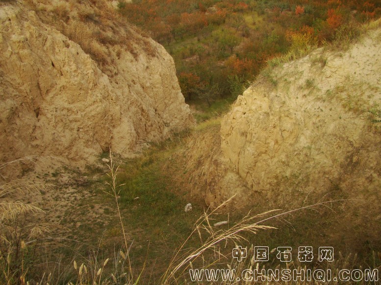 DSC06017.JPG