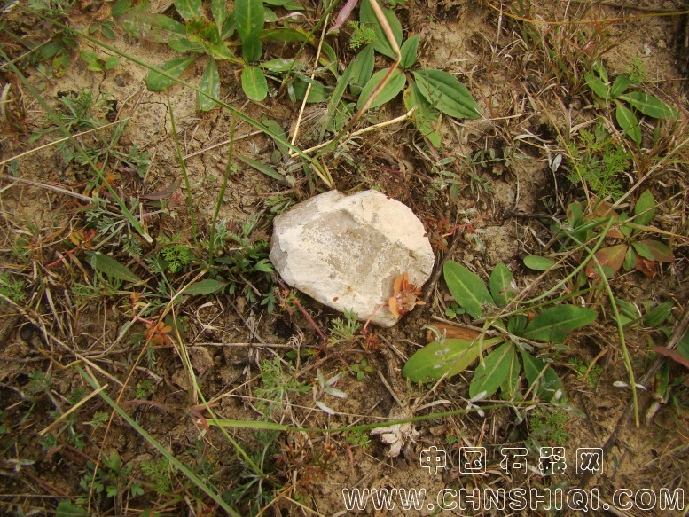 DSC06024.JPG