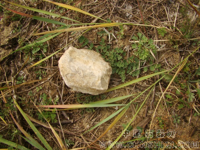 DSC06026.JPG