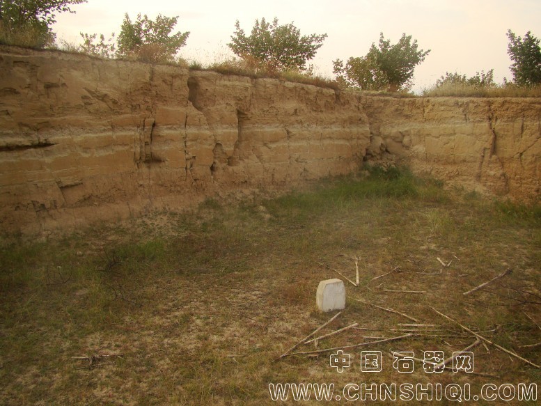 DSC06030.JPG