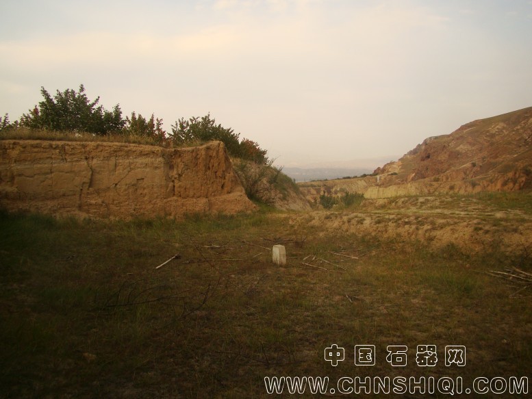 DSC06031.JPG
