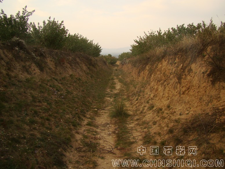 DSC06041.JPG