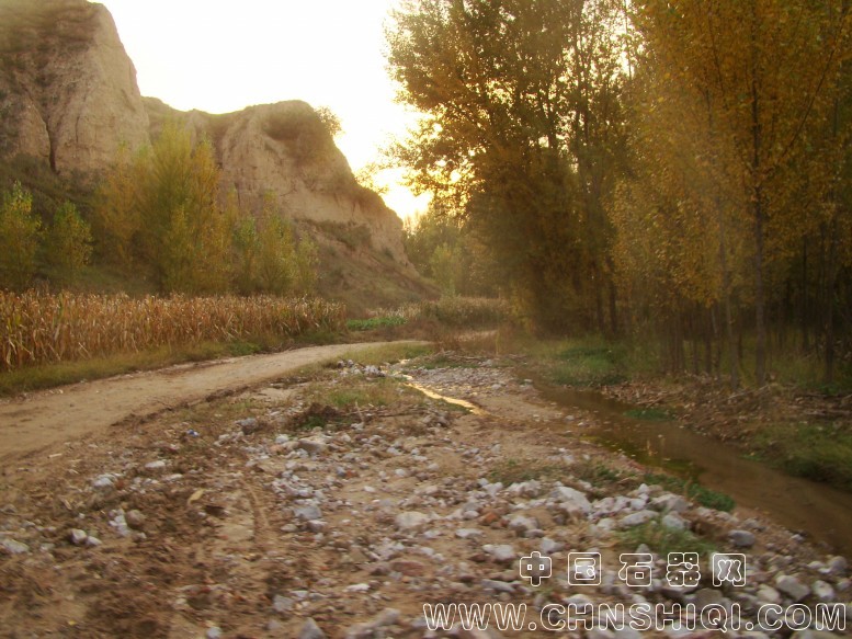 DSC06078.JPG