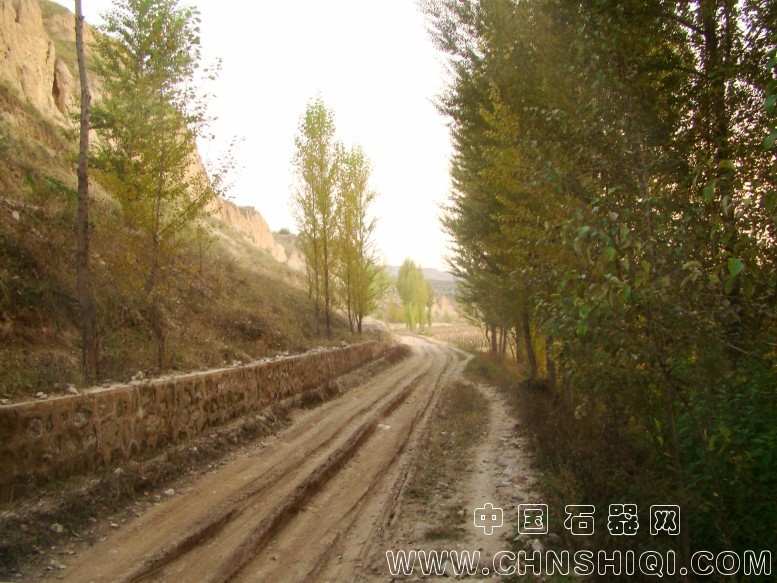 DSC06079.JPG