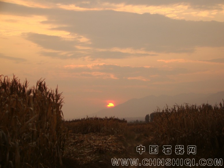DSC06081.JPG