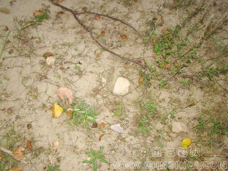 DSC06090.JPG