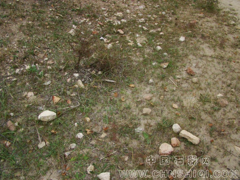 DSC06092.JPG