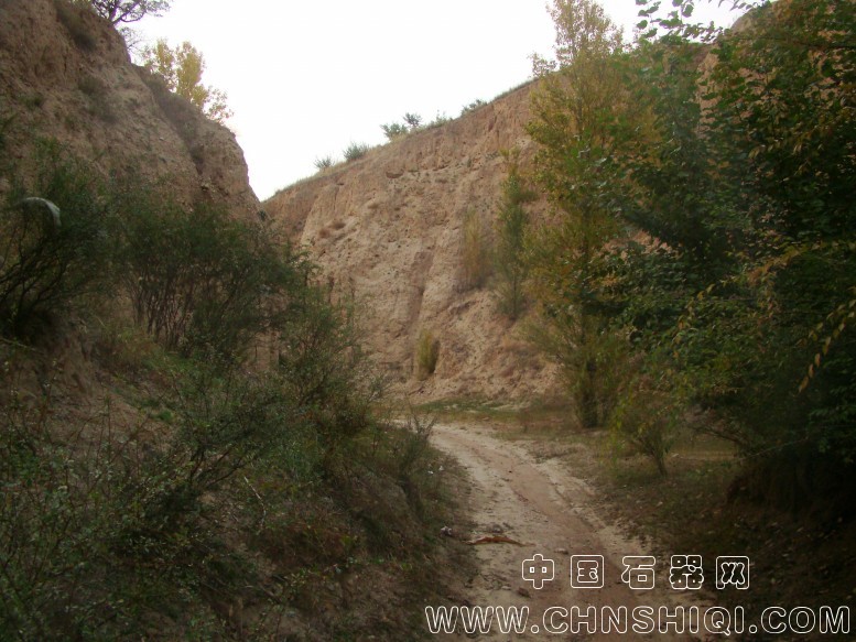 DSC06094.JPG