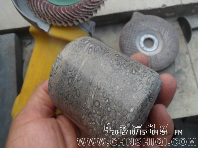 调整大小 SAM_6051.JPG