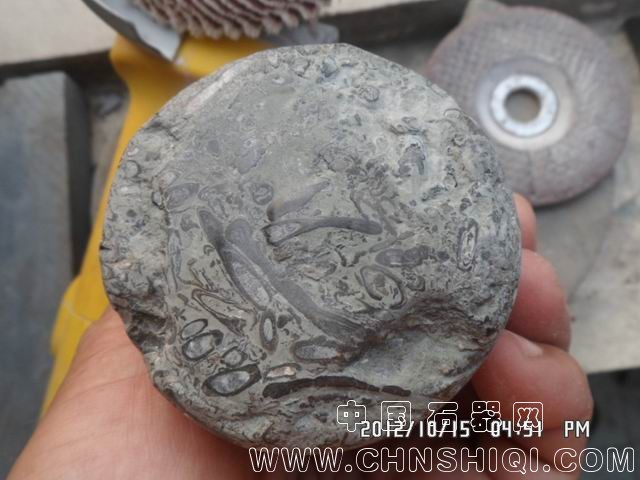 调整大小 SAM_6052.JPG