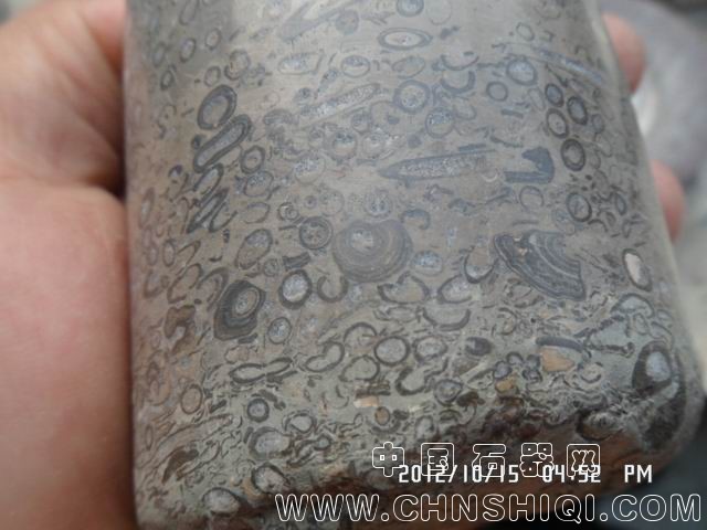 调整大小 SAM_6053.JPG
