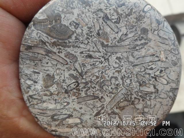 调整大小 SAM_6054.JPG