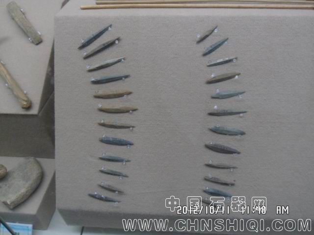 调整大小 SAM_5901.JPG