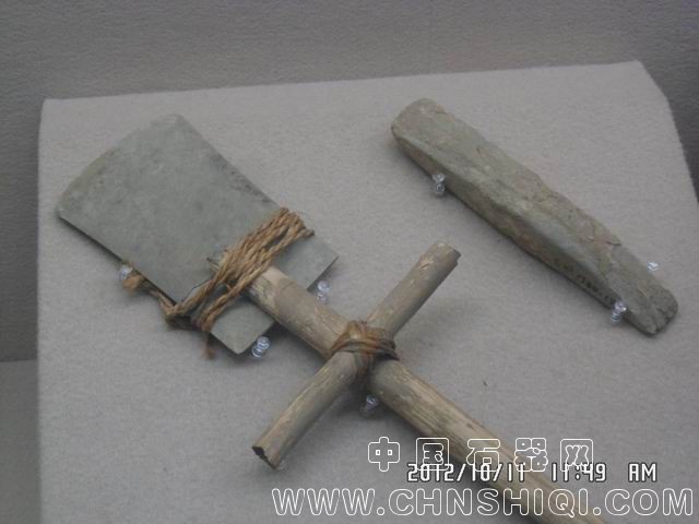 调整大小 SAM_5904.JPG