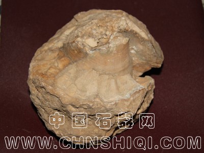 昆仑山5200米海像沉积