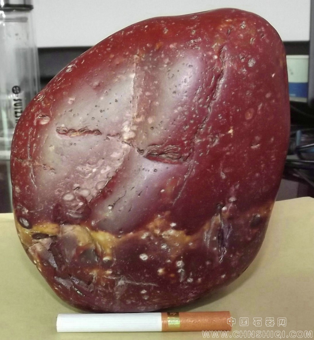 照片 013.jpg
