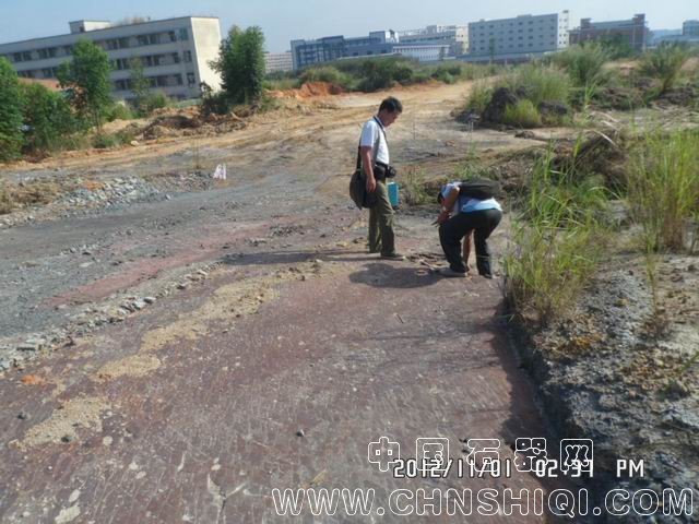 调整大小 SAM_6445.JPG