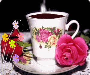 1643259bo8b8858bb9djzz.gif