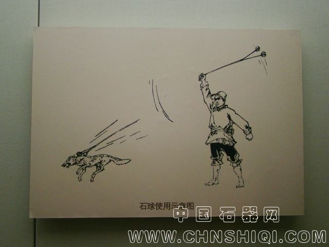 河北省博物馆文物馆藏石球.jpg