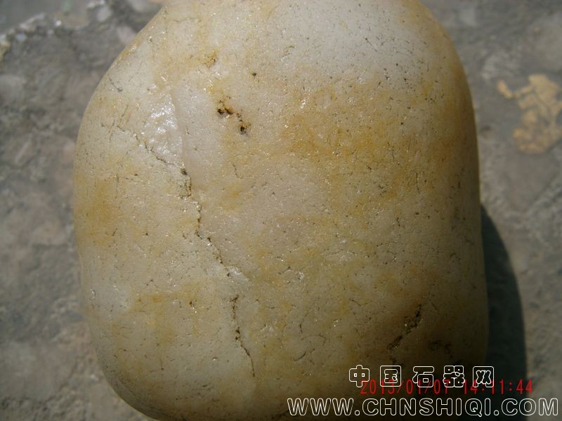 照片 002.jpg