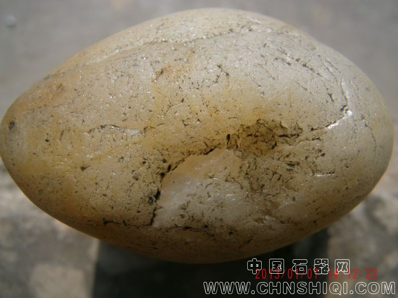照片 003.jpg
