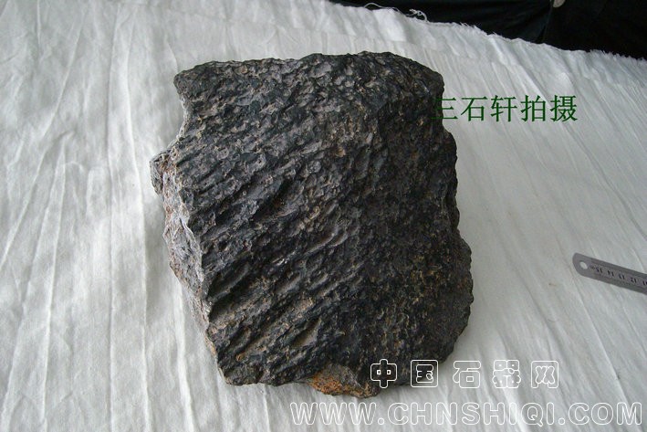 ALIM9191_副本_副本.JPG