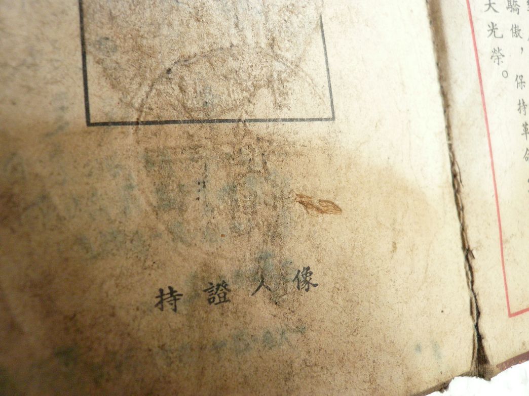 P1370312.JPG