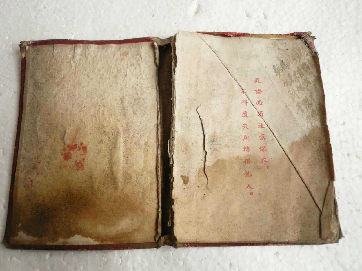 P1370323.JPG