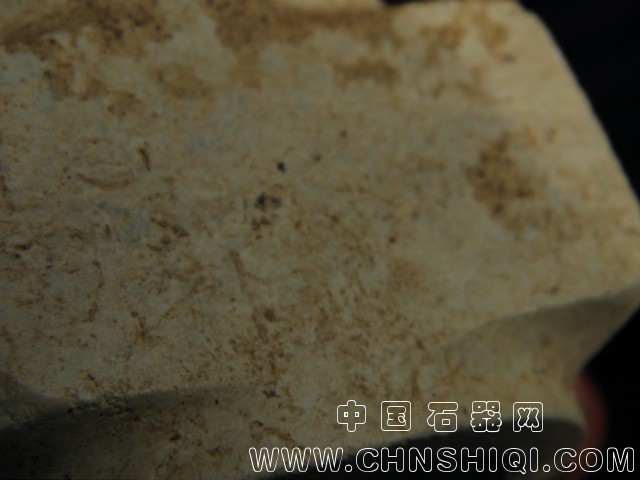 P1262762.JPG