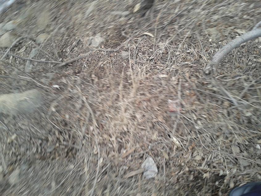20130305_152030.jpg