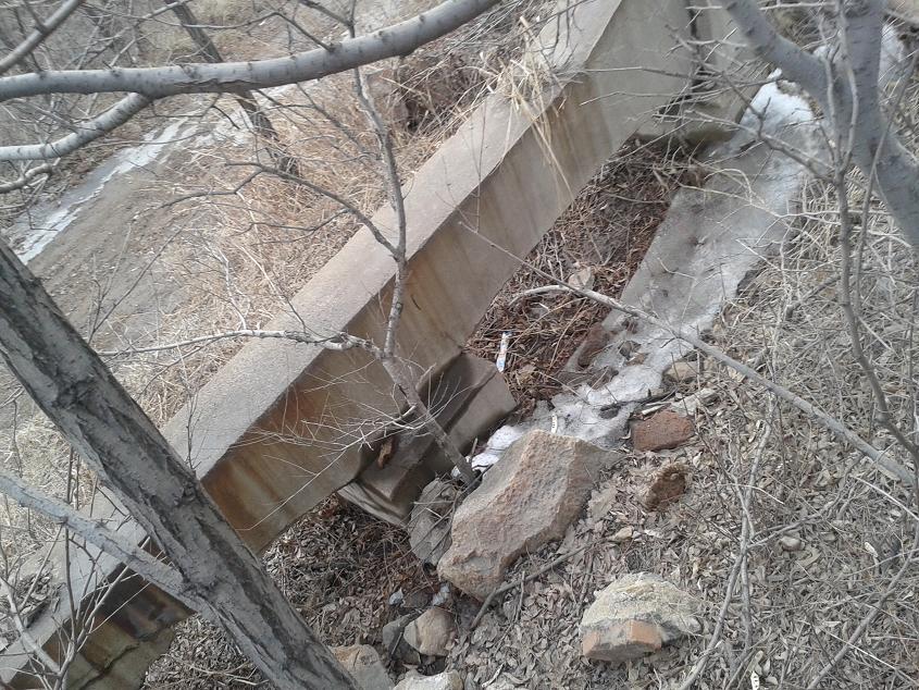 20130305_152036.jpg
