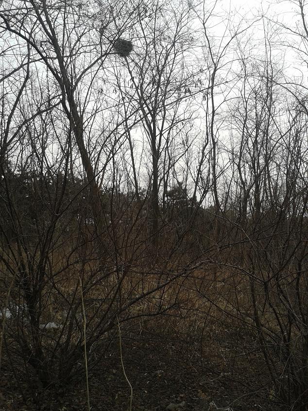 20130305_153122.jpg