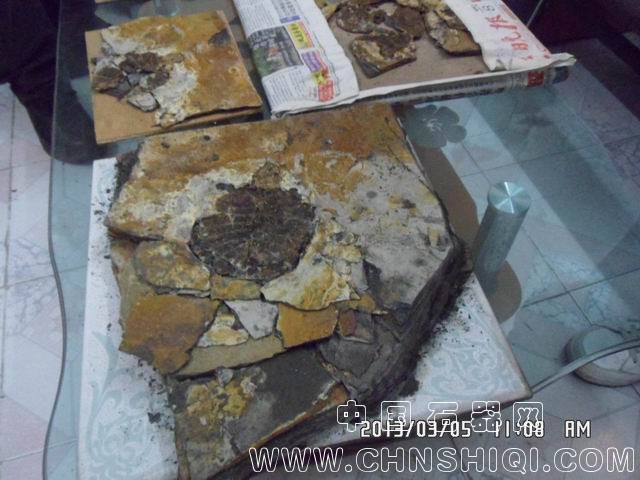 调整大小 SAM_9612.JPG