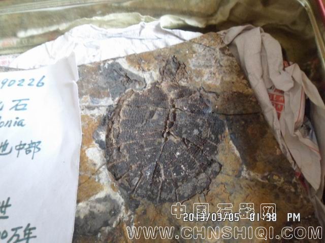 调整大小 SAM_9647.JPG