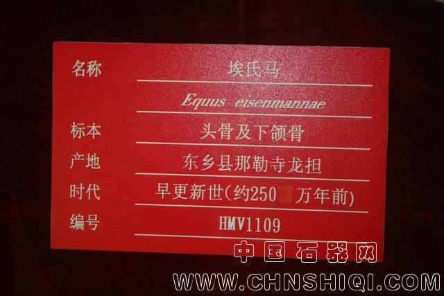 DSC00018.JPG