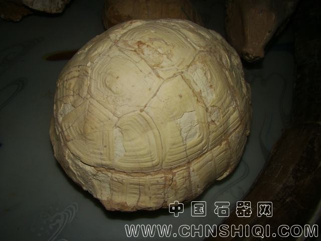 DSC00575.JPG
