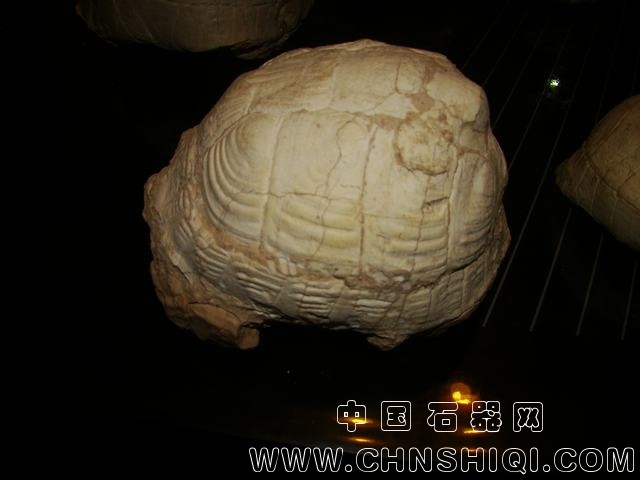 DSC00999.JPG