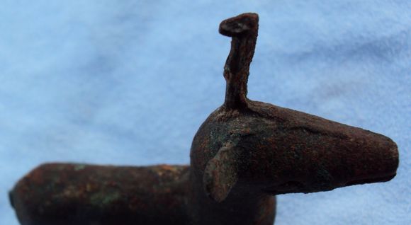 DSC08710.JPG