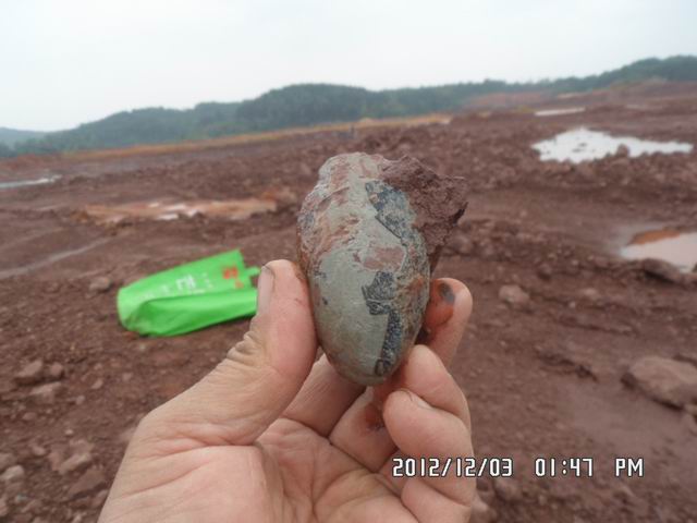 调整大小 SAM_7191.JPG
