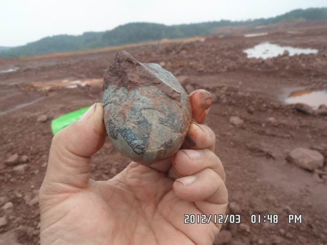 调整大小 SAM_7192.JPG