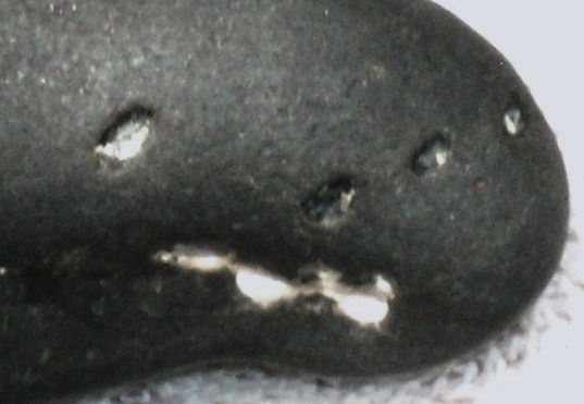 DSCN3528.JPG