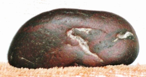 6.8x3.5x2.9cm‘背面’