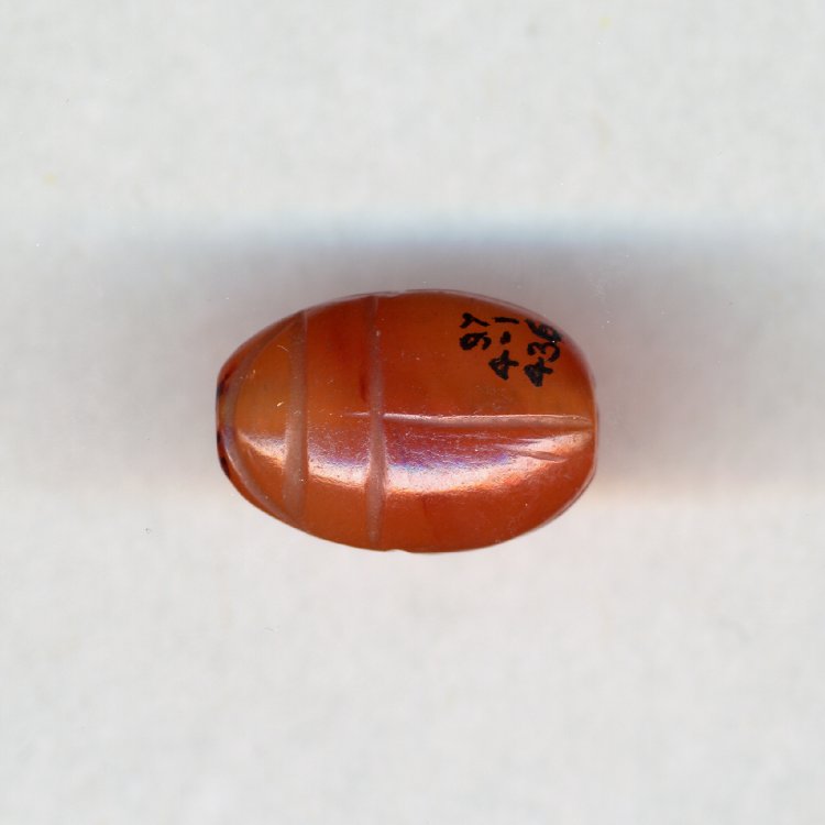 AN00072435_001_l[1]1550BC-1050BC-79号墓.jpg