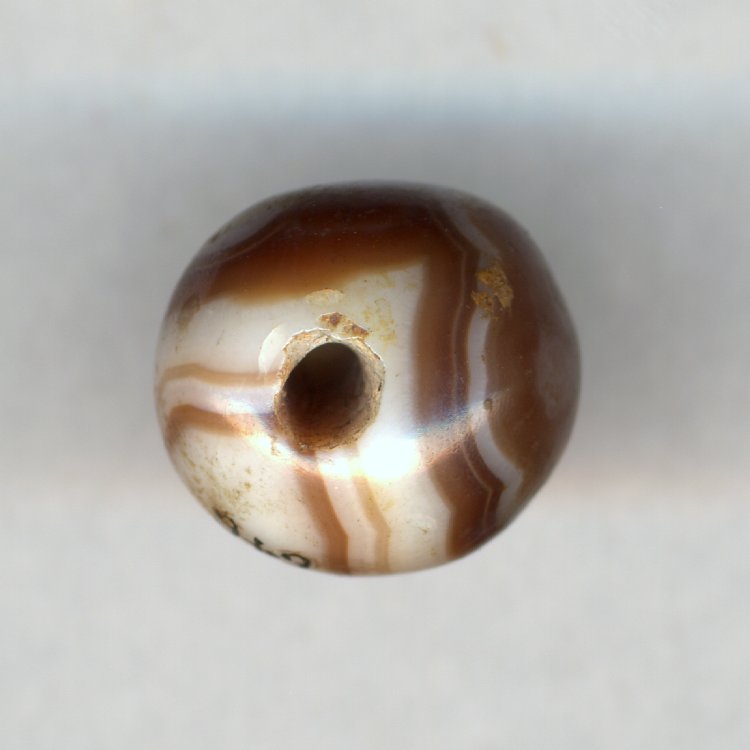 AN00080905_001_l[1]1650BC-1050BC95号墓.jpg