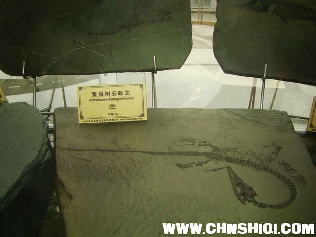 DSC02010.JPG