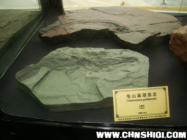 DSC02013.JPG