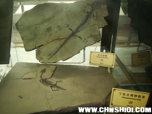 DSC02015.JPG