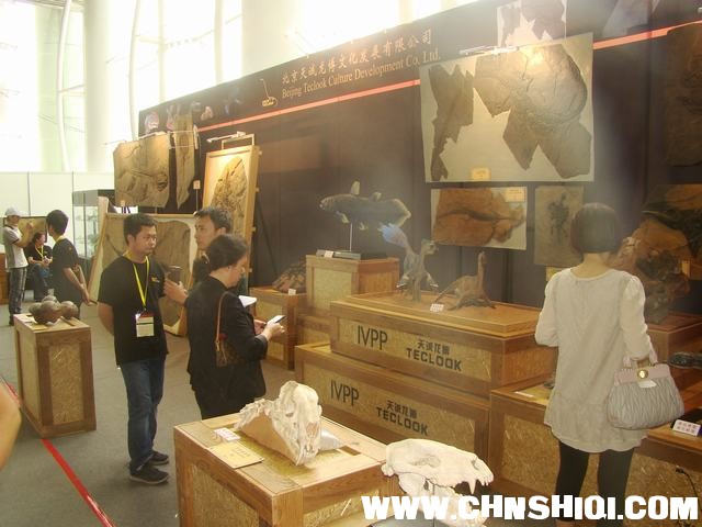 DSC02046.JPG